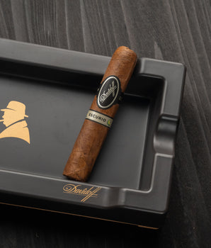 Davidoff Escurio Robusto - nextCIGAR