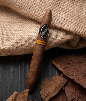 Davidoff Nicaragua Diadema - nextCIGAR