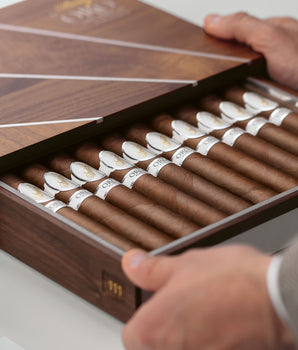 Davidoff Oro Blanco Special Reserve 111 Years - nextCIGAR