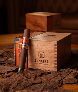E.P. Carrillo Essence Series Sumatra Gordo - nextCIGAR