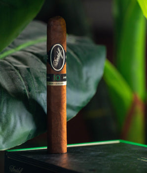 Davidoff Escurio 10th Anniversary Limited Edition - nextCIGAR